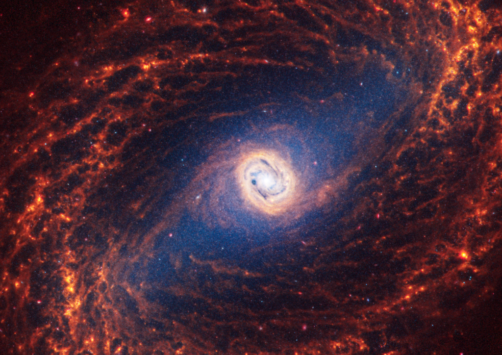 Spiral Galaxy NGC 1433