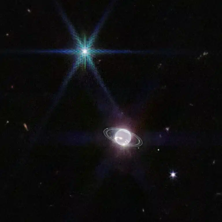 Neptunes rings